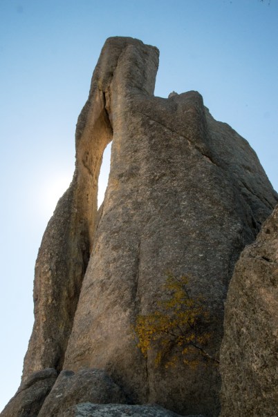 september-2016-custer-state-park-wyoming_09-19-16_5012