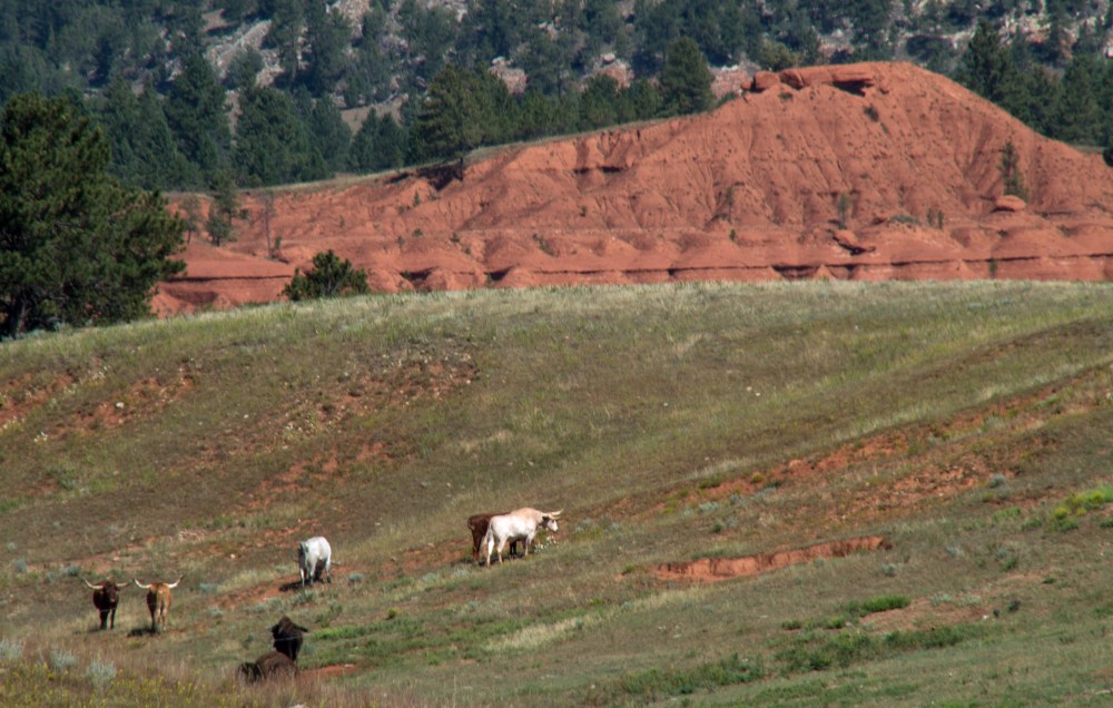 2017 August Devils Tower_08 16 17_2192
