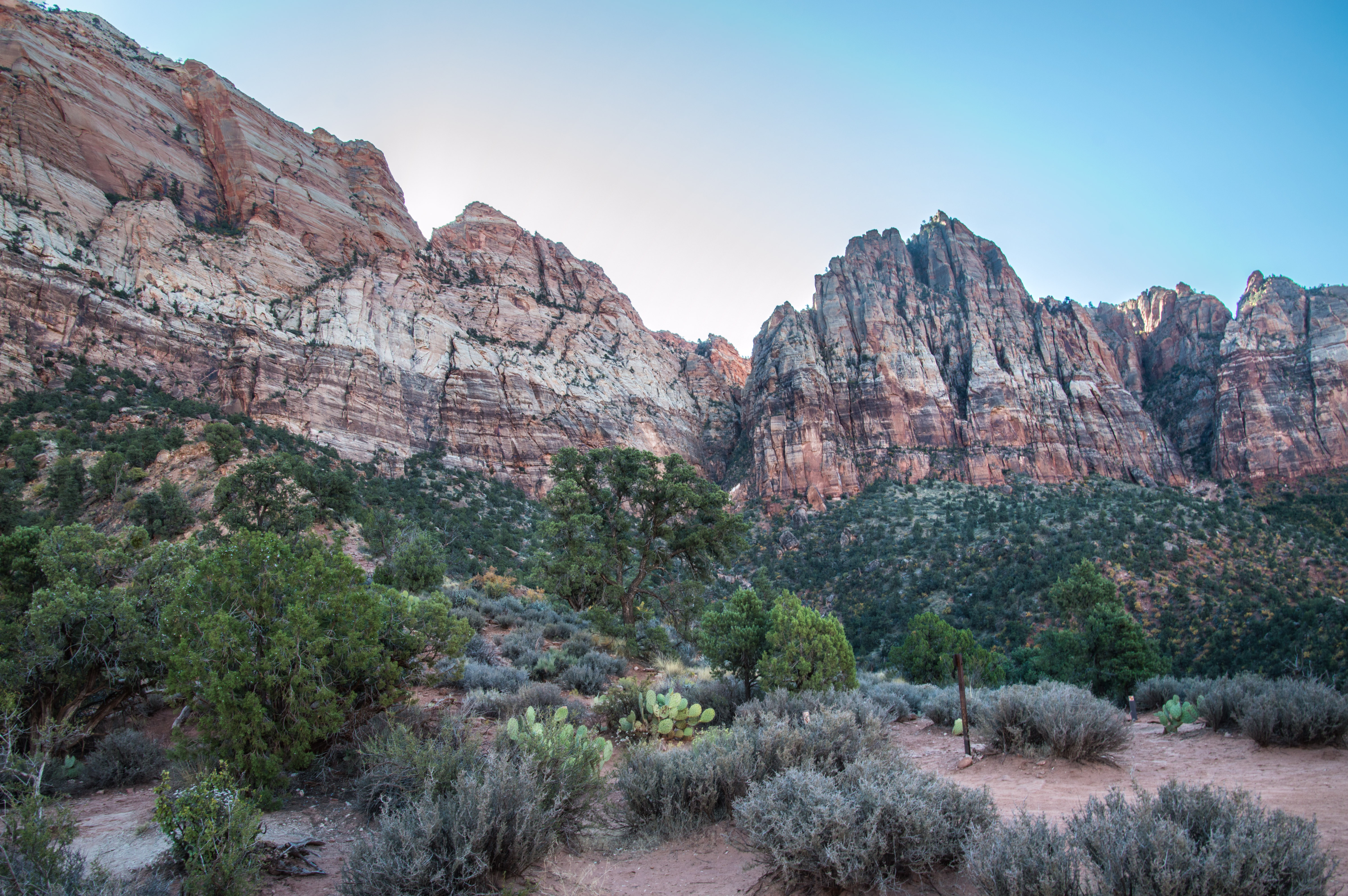 2017 Oct. Zion day 2 &amp; Wildcat Canyon_10 05 17_4371_edited-1