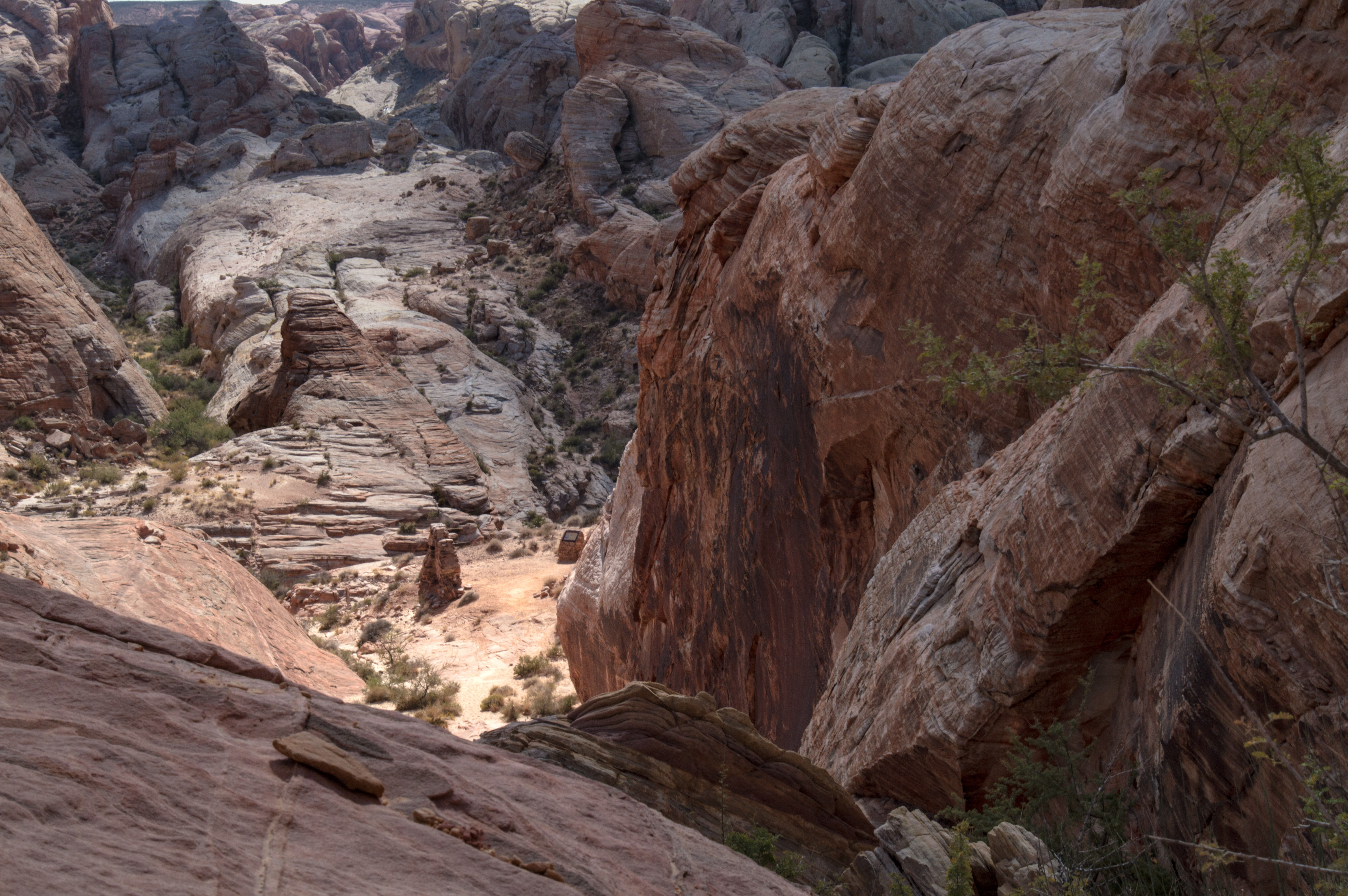 Valley of Fire State Park, Nevada_11 01 17_4856_edited-1