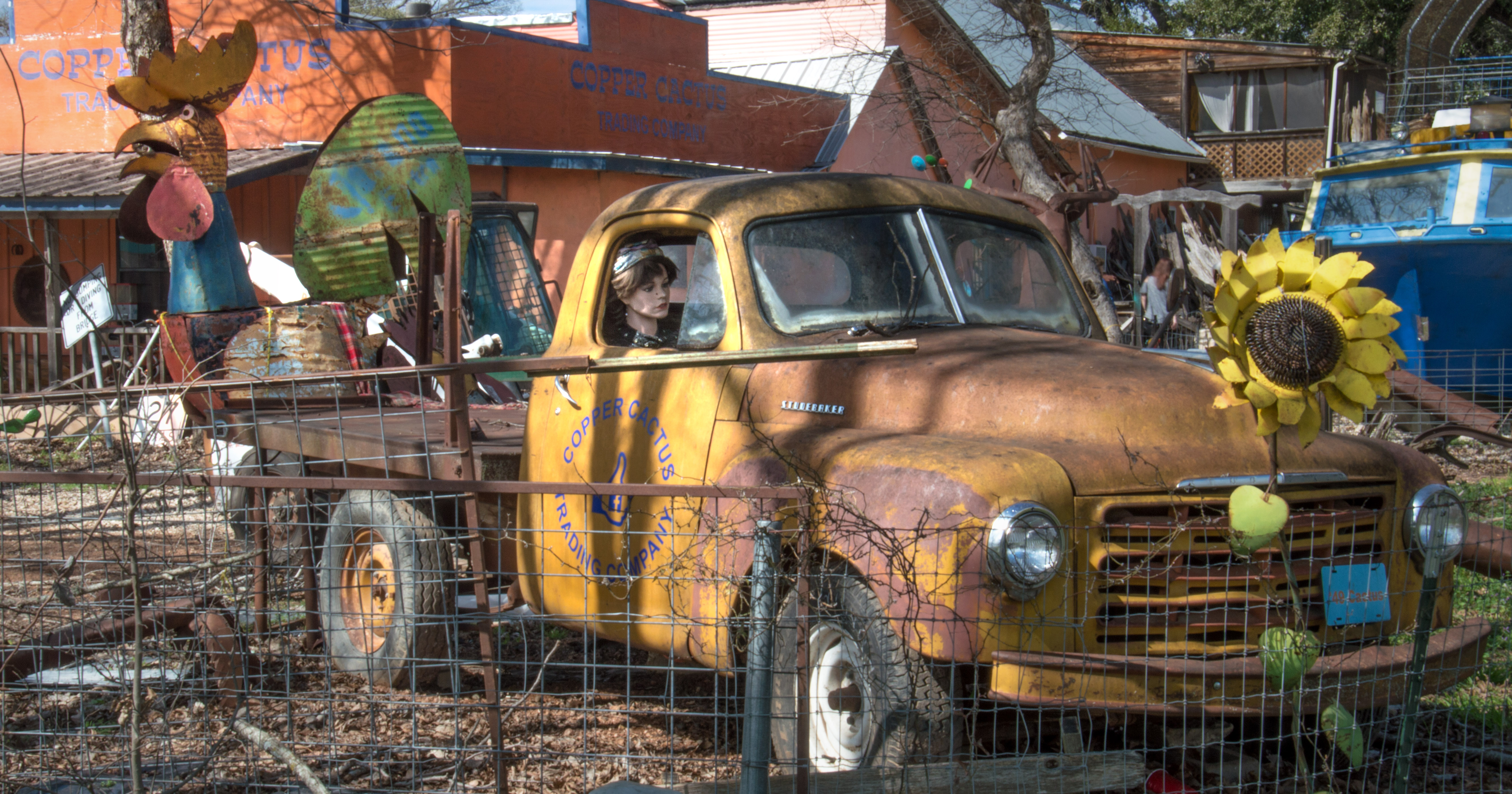 2018 Feb. Hill country, TX_02 24 18_5468_edited-1