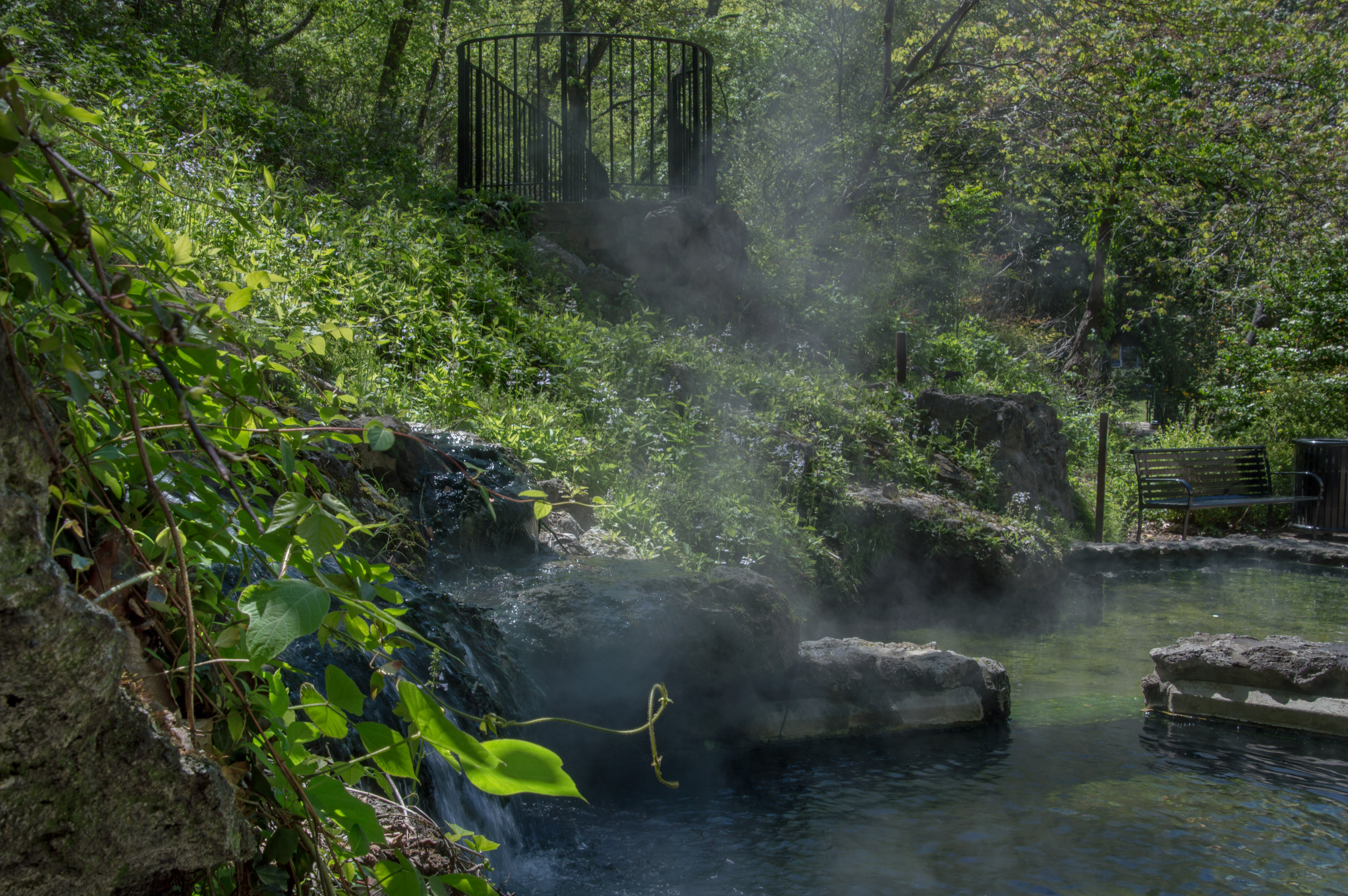 2018 April Hot Springs &amp; Garvan Woodland Gardens_04 20 18_6400_edited-1