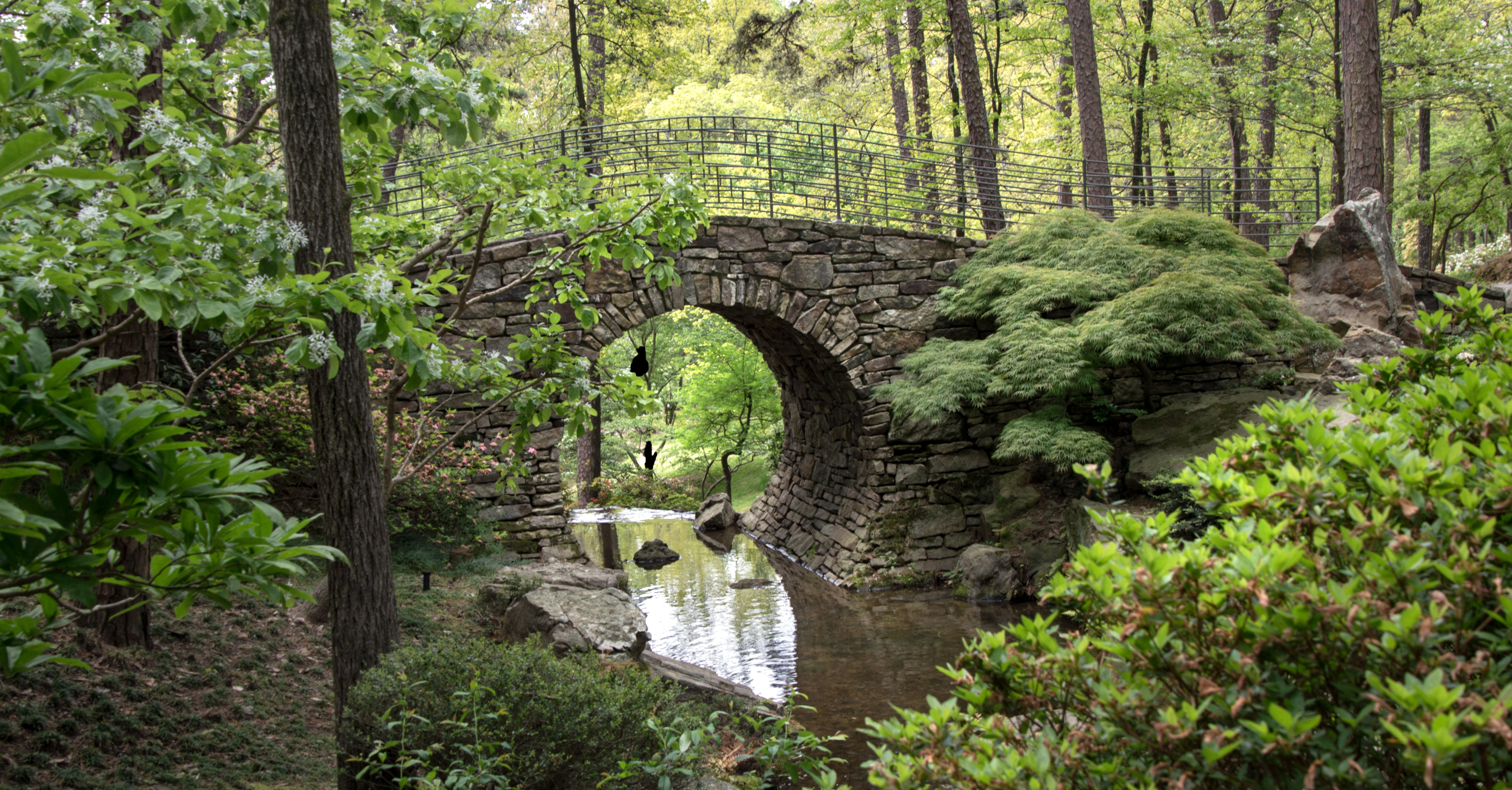 2018 April Hot Springs &amp; Garvan Woodland Gardens_04 21 18_6232_edited-1