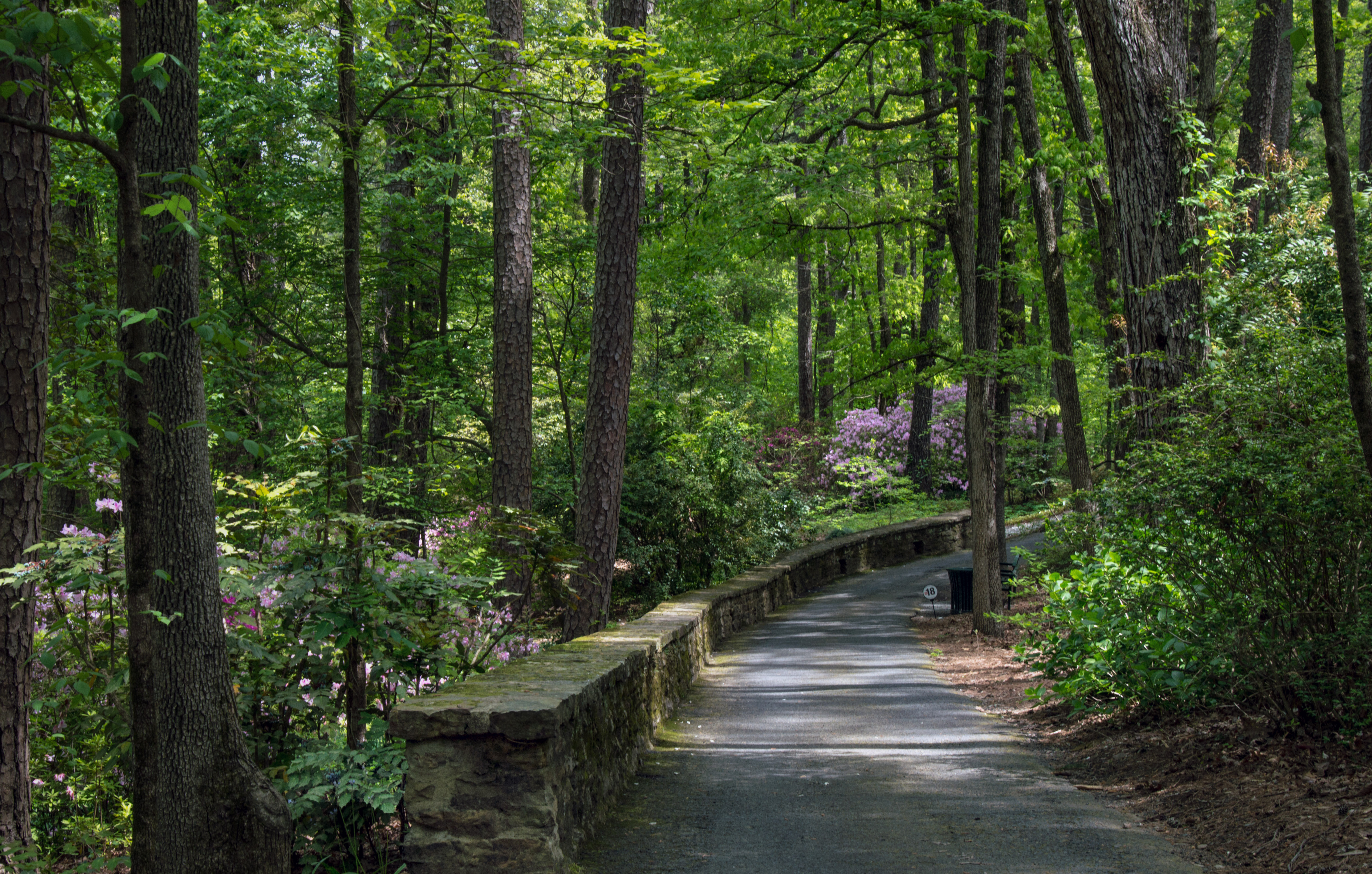 2018 April Hot Springs &amp; Garvan Woodland Gardens_04 21 18_6274_edited-1