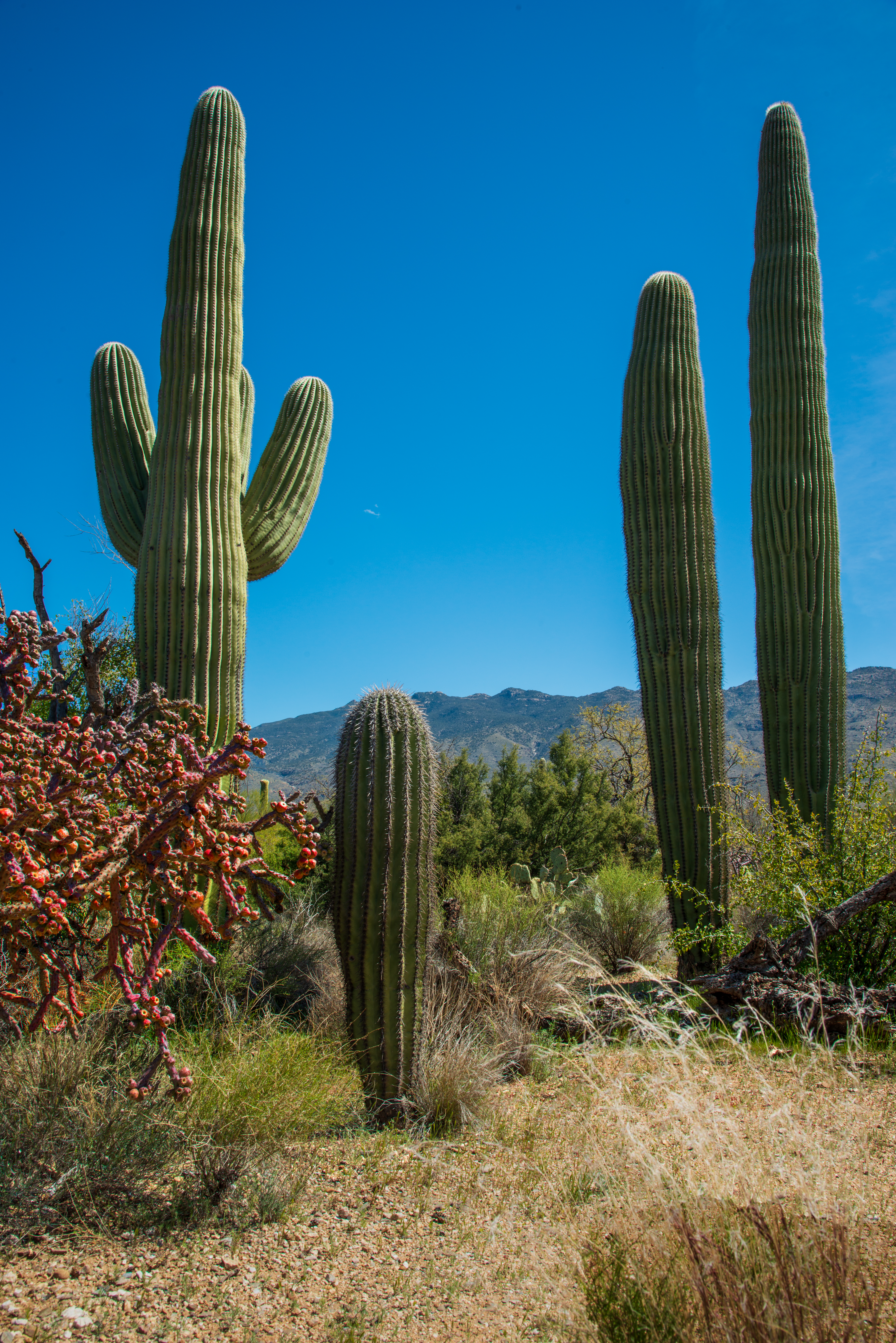 460F8B6F-F2E7-4A51-85CC-D4C5E6799B74